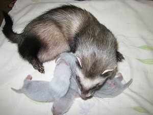 IMG_0922.jpg