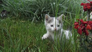 IMG_7029.JPG