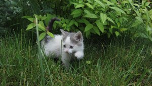 IMG_7047.JPG