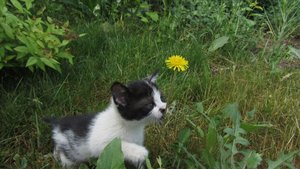 IMG_7067.JPG