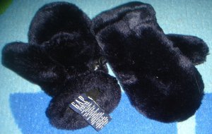 DSC00520.JPG