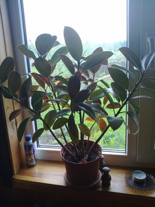 16052011584.jpg