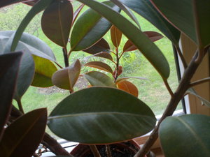 16052011586.jpg