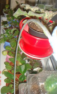 DSC00400.JPG