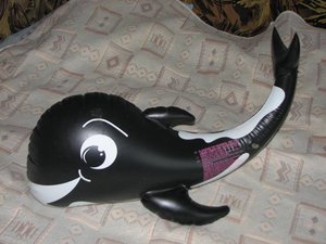 касатка.jpg