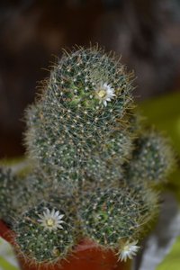 DSC_0089.JPG