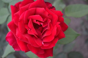 DSC_0189.JPG