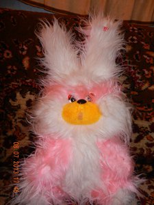 DSCN0101.jpg