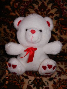 DSCN0102.jpg