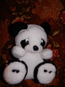 DSCN0104.jpg