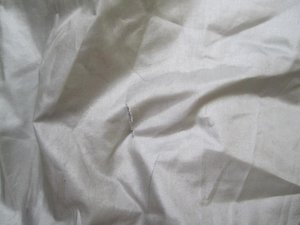 IMG_7872.JPG