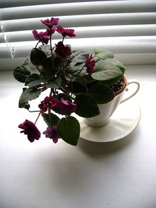 DSC00473.JPG