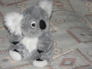 мишка коала.jpg