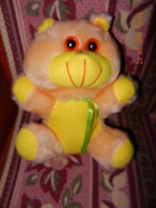 DSCN0229.jpg