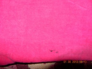 DSCN0250.jpg