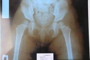 5 снимок 10.02.12 Возраст 2 года 3 мес.jpeg