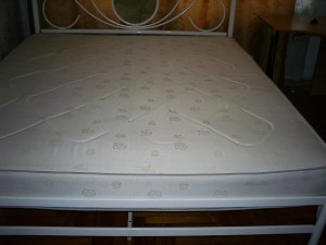 PIC_0011.JPG