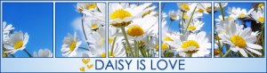 091a155a4b39cc55fce7fb5dad73a139.png