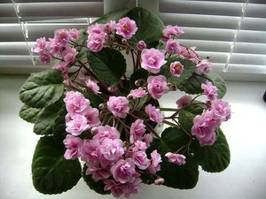 130192377682002438[1].jpg