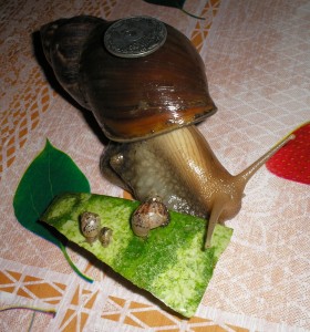Безымянный.jpg