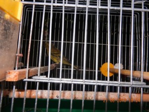 DSCN0318.jpg