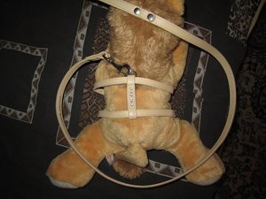 IMG_2116.JPG