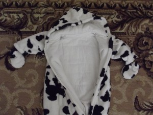 DSCF1125.JPG