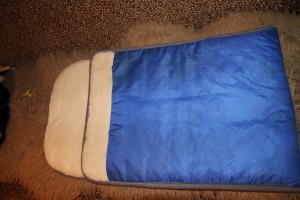 IMG_52391.jpg