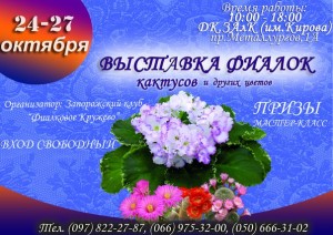 Yk456Kpf9_s.jpg