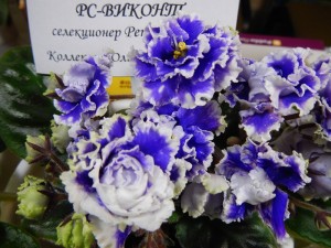 Выставка 24-27.10.13 035 (Копировать).jpg