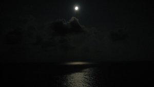 IMG_0296.jpg