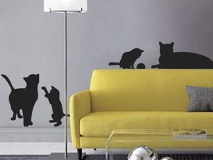 cat fam4.jpg