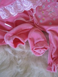 IMG_8017.jpg