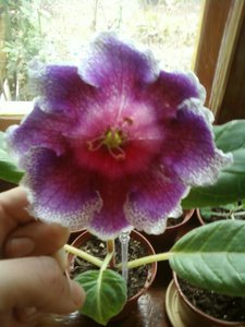 P16-10-11_16.33.jpg