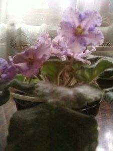 P02-11-11_12.11.jpg