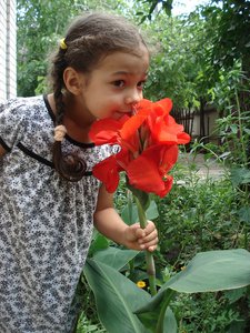 DSC08263-1.jpg