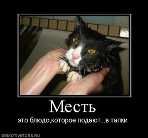 828837_mest.jpg
