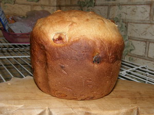 PB128220.JPG