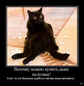 Вася.jpg