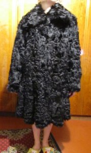 IMG_1247.JPG