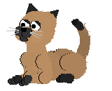 Cat-05.gif