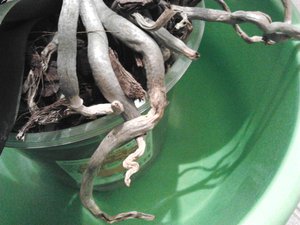2012-03-28 21.10.36.jpg