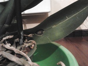 2012-03-28 21.13.13.jpg