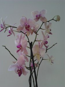 2012-03-20 14.37.48_1.jpg