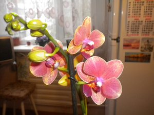 Изображение 036.jpg