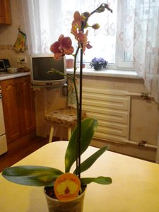 Изображение 039.jpg
