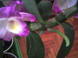 2012-06-17 19.18.40.jpg