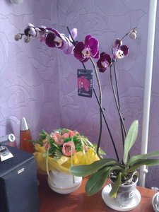 2012-09-17 13.58.46.jpg